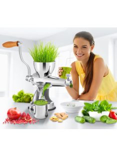   Manual Wheatgrass Juicer Stainless Steel W/ Suction Cup Base Table-Top Clamp Extractor for Ginger Celery Home Kitchen Use