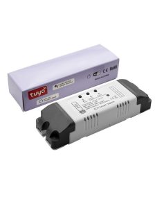 TUYA  2-channel relay 7-32V + 5V micro USB input, Zigbee/RF