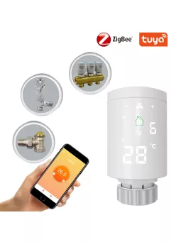Tuya thermostat